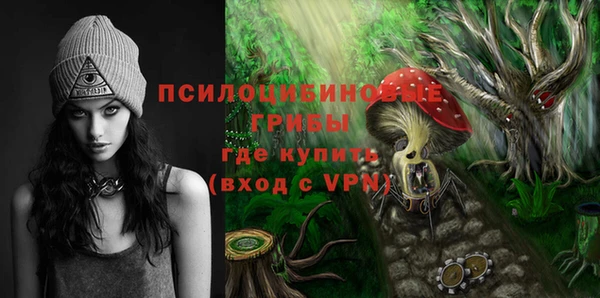 мескалин Краснослободск