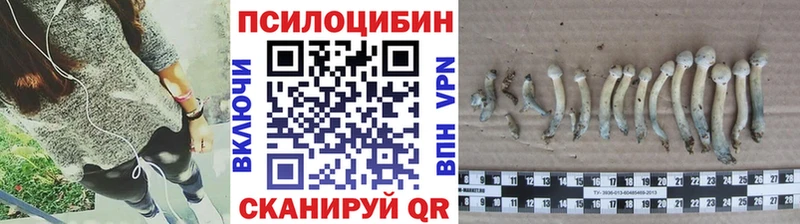 Псилоцибиновые грибы мухоморы  купить закладку  Котово 